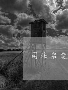 司法启受贿公司 司法启受贿公司