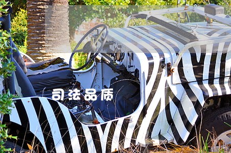 司法品质 司法品质