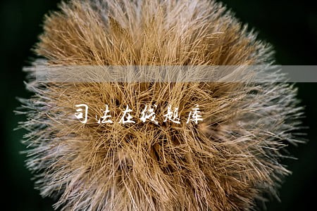 司法在线题库 司法在线题库