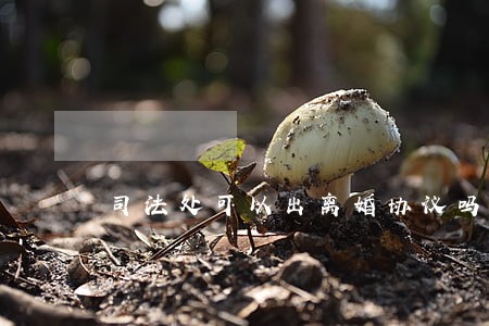 司法处可以出离婚协议吗 司法处可以出离婚协议吗