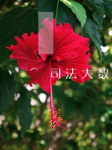 司法大数据周强 司法大数据周强