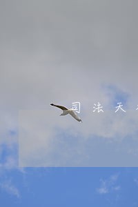 司法天神二郎显圣真君殿下 司法天神二郎显圣真君殿下