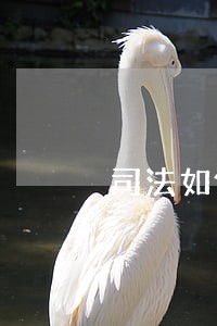 司法如何穿越错综复杂