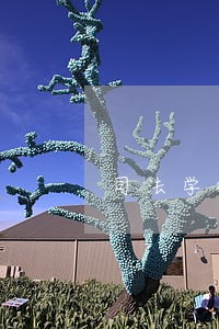 司法学校恐怖故事 司法学校恐怖故事