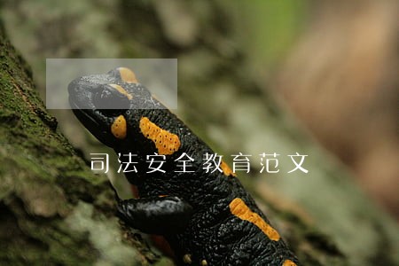 司法安全教育范文