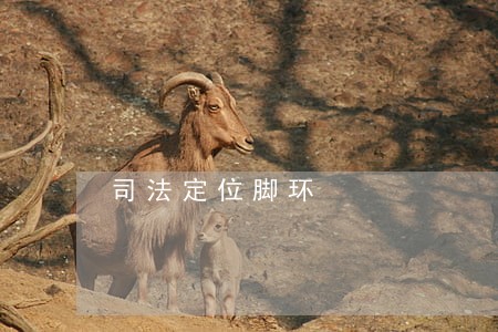 司法定位脚环 司法定位脚环