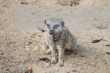 司法实务书 司法实务书