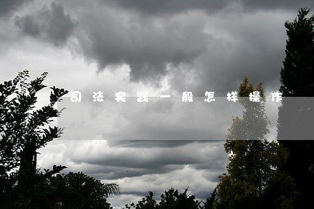 司法实践一般怎样操作 司法实践一般怎样操作