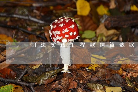 司法实践工程款结算依据