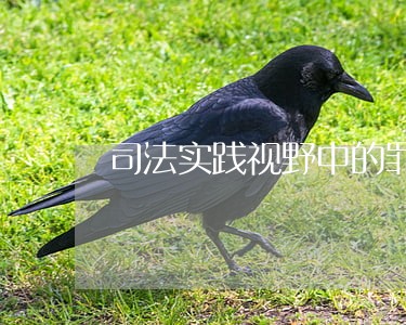 司法实践视野中的罪刑法定原则 司法实践视野中的罪刑法定原则