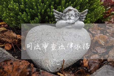 司法审查法律依据 司法审查法律依据