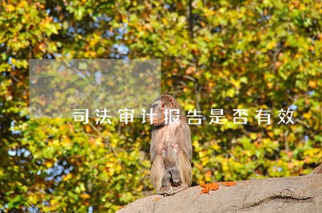 司法审计报告是否有效 司法审计报告是否有效