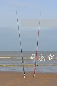 司法审计招标 司法审计招标
