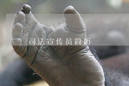 司法宣传员简历 司法宣传员简历