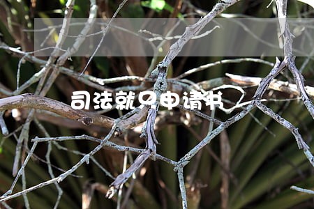 司法就只申请书 司法就只申请书
