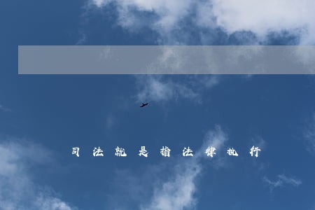 司法就是指法律执行