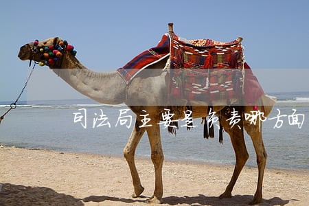 司法局主要是负责哪方面的工作 司法局主要是负责哪方面的工作