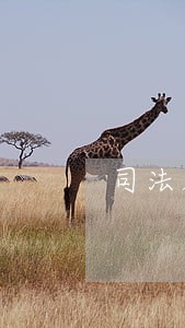 司法局事业编分数 司法局事业编分数
