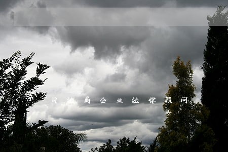 司法局企业法律顾问 司法局企业法律顾问