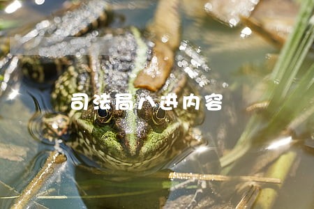 司法局八进内容 司法局八进内容