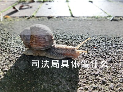 司法局具体做什么 司法局具体做什么
