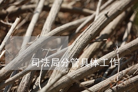 司法局分管具体工作 司法局分管具体工作