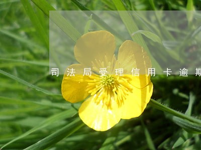 司法局受理信用卡逾期案件吗 司法局受理信用卡逾期案件吗