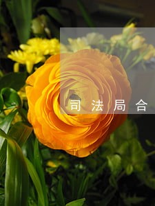 司法局合同工稳定吗 司法局合同工稳定吗