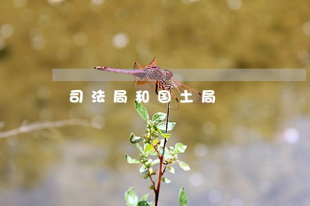 司法局和国土局 司法局和国土局