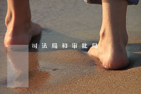 司法局和审批局 司法局和审批局