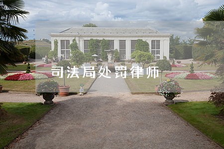 司法局处罚律师