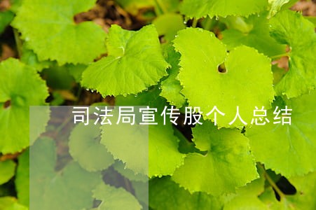 司法局宣传股个人总结