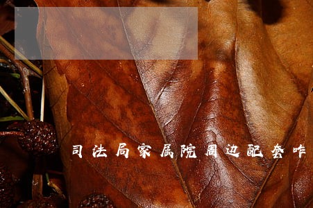 司法局家属院周边配套咋样 司法局家属院周边配套咋样