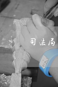 司法局工作证设计模板下载 司法局工作证设计模板下载