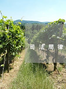 司法局律师管理人员 司法局律师管理人员