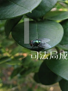 司法局成绩查询