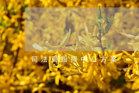 司法局指挥中心方案