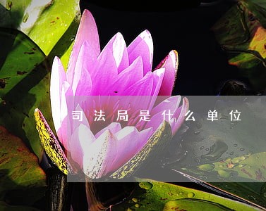司法局是什么单位
