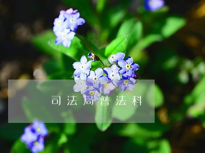 司法局普法科 司法局普法科
