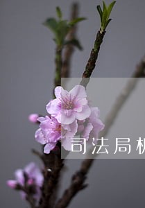 司法局机关公文处理制度 司法局机关公文处理制度