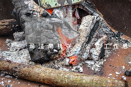 司法局机关办公室工作思路 司法局机关办公室工作思路