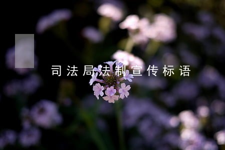 司法局法制宣传标语 司法局法制宣传标语