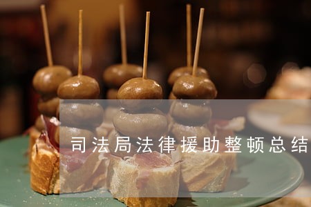 司法局法律援助整顿总结