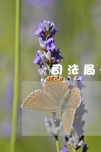 司法局法律援助档案
