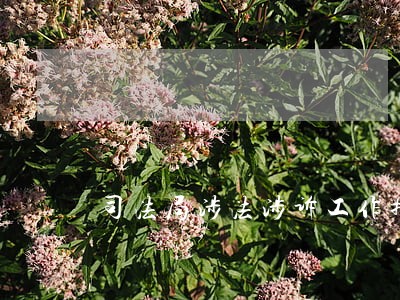 司法局涉法涉诉工作排查情况