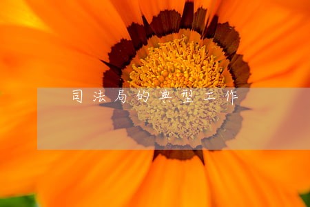 司法局的典型工作 司法局的典型工作