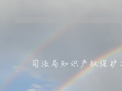 司法局知识产权保护工作情况汇报