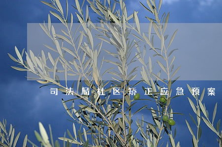 司法局社区矫正应急预案 司法局社区矫正应急预案