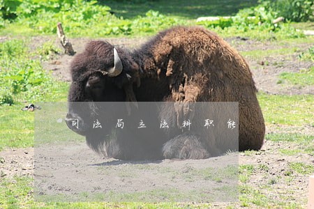 司法局立法科职能 司法局立法科职能