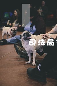 司法局签到 司法局签到